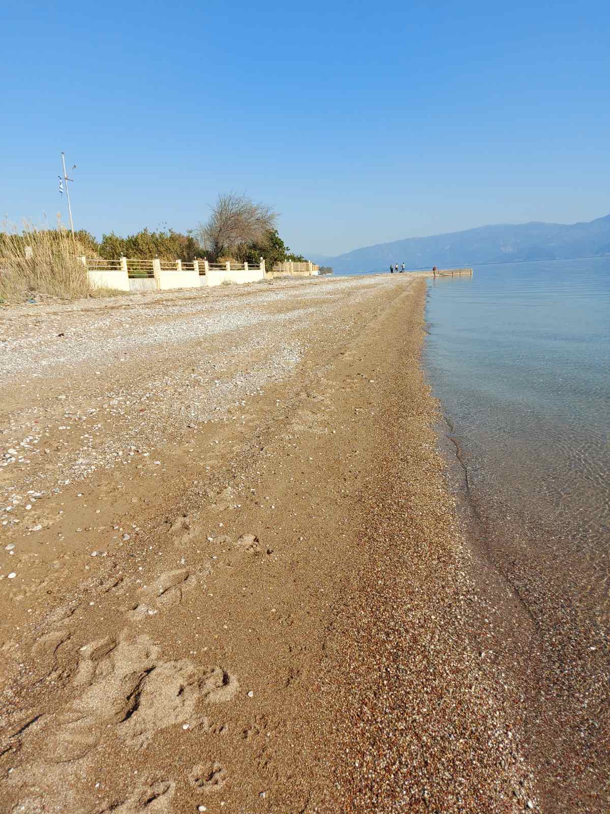 aigio17.JPG