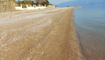aigio17.JPG